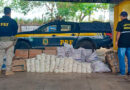 Aged e PRF realizam apreensão de 750 kg de queijo transportados de forma irregular