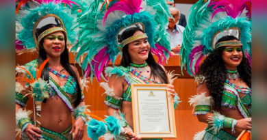 Assembleia homenageia grupos tradicionais do Bumba Meu Boi em sessão solene