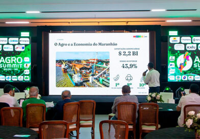 Aged destaca desafios e oportunidades da agropecuária maranhense durante o Agro Summit