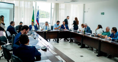 CCJ dá parecer favorável a PL que permite fornecimento de spray de pimenta e armas de choque a mulheres com medida protetiva